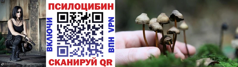 мега ONION  Кумертау  Псилоцибиновые грибы Cubensis 