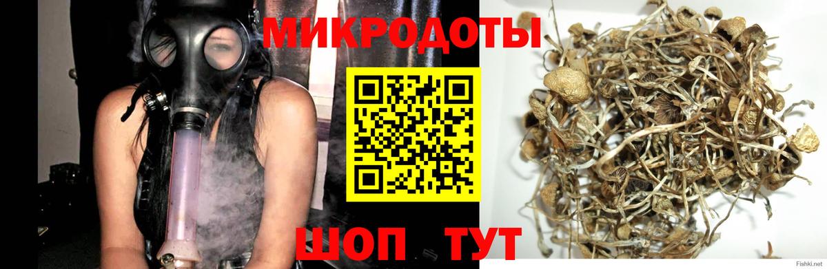 Кумертау  Галлюциногенные грибы MAGIC MUSHROOMS  Вход с VPN 